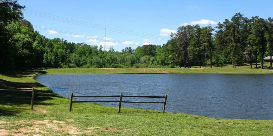 Things to Do in Senoia